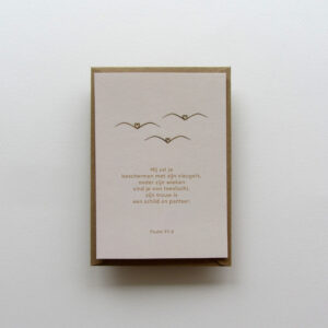 foto met een lijntekening van vleugels